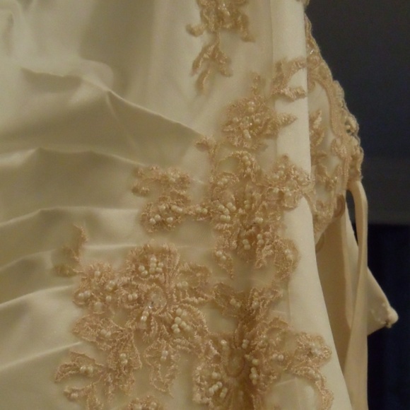 David’s Bridal wedding gown size 8 - Picture 7 of 7